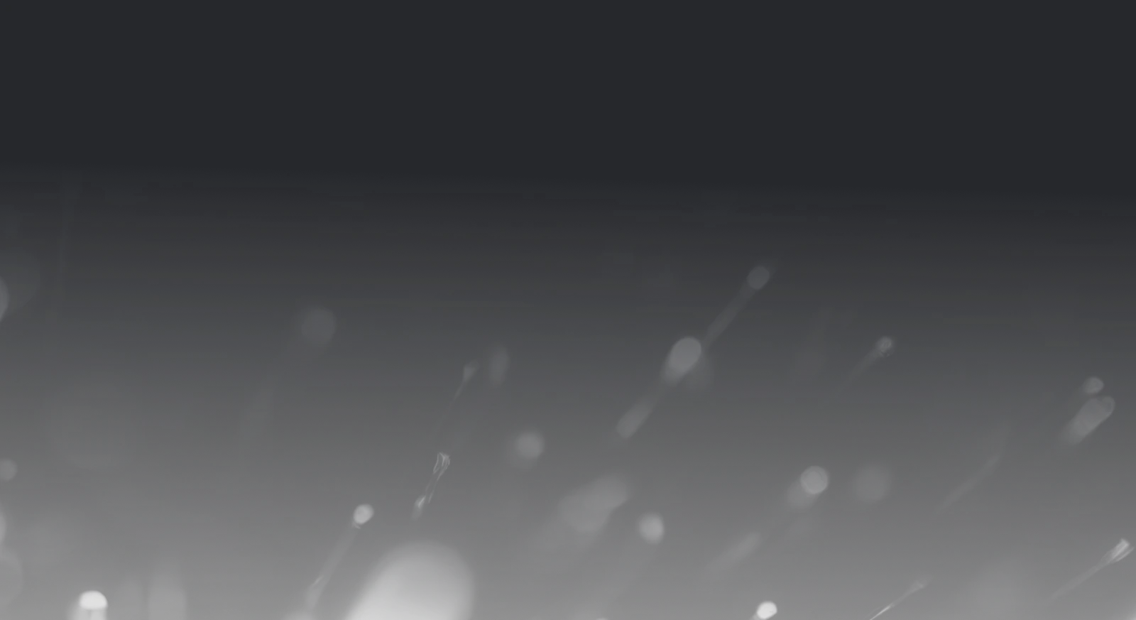 leap ai overview content bottom bg
